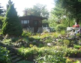 bild7 bild7