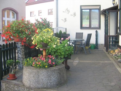 bild9-400x300